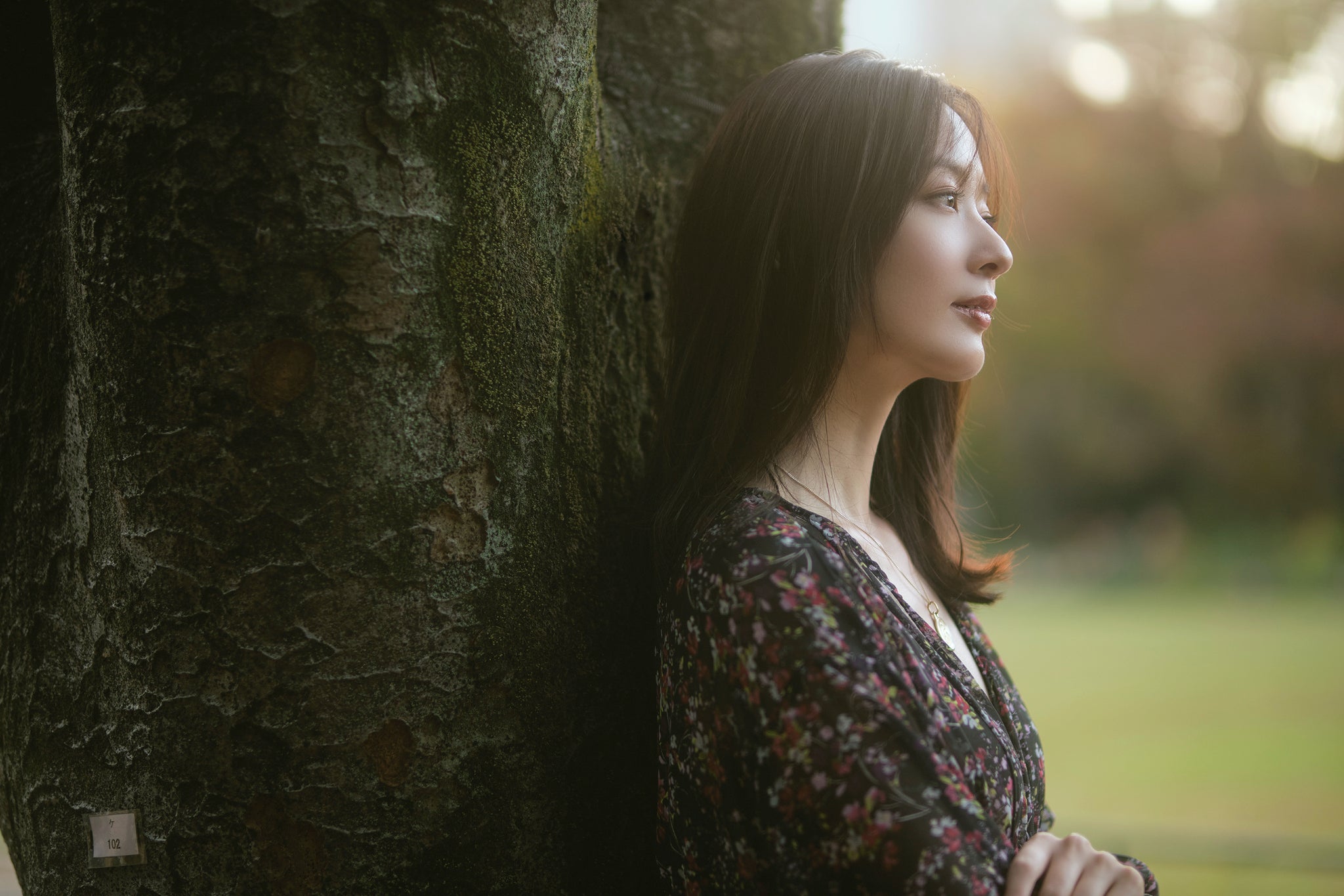 ブラックミスト1/2を自然光で使う3つのポイント