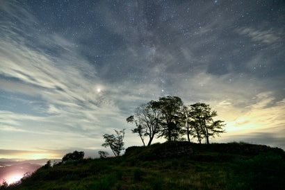 ナチュラルナイトフィルターなしで撮影し、ホワイトバランスを調整した場合。