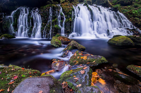 秋の元滝伏流水で、渓流をスローシャッターで撮るツアー