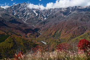 PLフィルターで晴天の紅葉を撮る